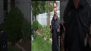 SLINGBOW RANGER - Amazing weapons that don't need gun powder #shorts