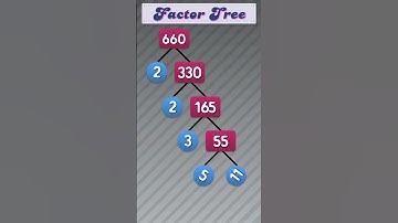 Factor Tree of 660 #publicmaths  #maths #factortree