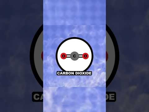 Video: Những nguyên tố nào thuộc nhóm cacbon?