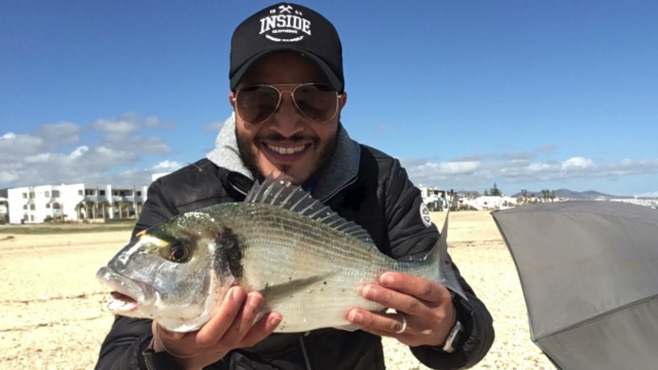 خرجة إلى الصيد في شاطئ الأمين مع حصيلة الدوراد جميلة #pêche #surfcasting #الصيد_بالقصبة