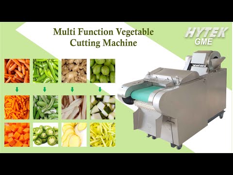 Vegetable Washing Machine - HYTEK GME