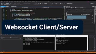 Websocket Client/Server App with C# (Visual Studio) screenshot 5