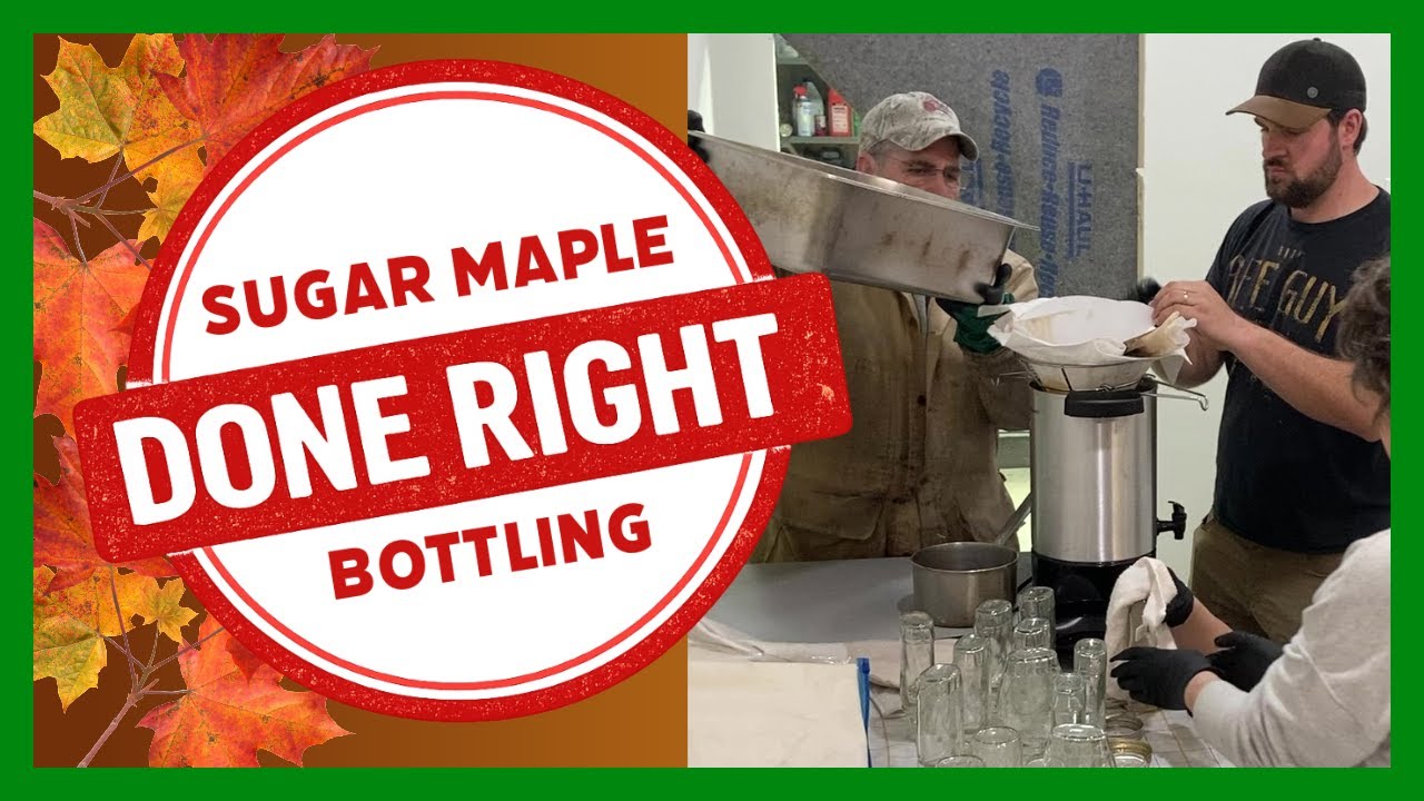 Как безопасно разливать кленовый сироп по бутылкам | Дезинфекция, фильтрация и срок хранения