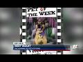 Pet Talk: Meet Violet