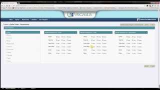 How to Set Team Permissions in Pegasus CRM