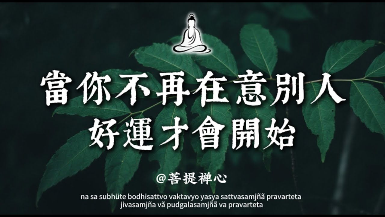 心一放下，能量就回來了；當你心不受力，人生自然順了，好運才會開始🍃｜菩提禅心#修行 #佛学 #人生感悟 #修心修行 #國學#治愈