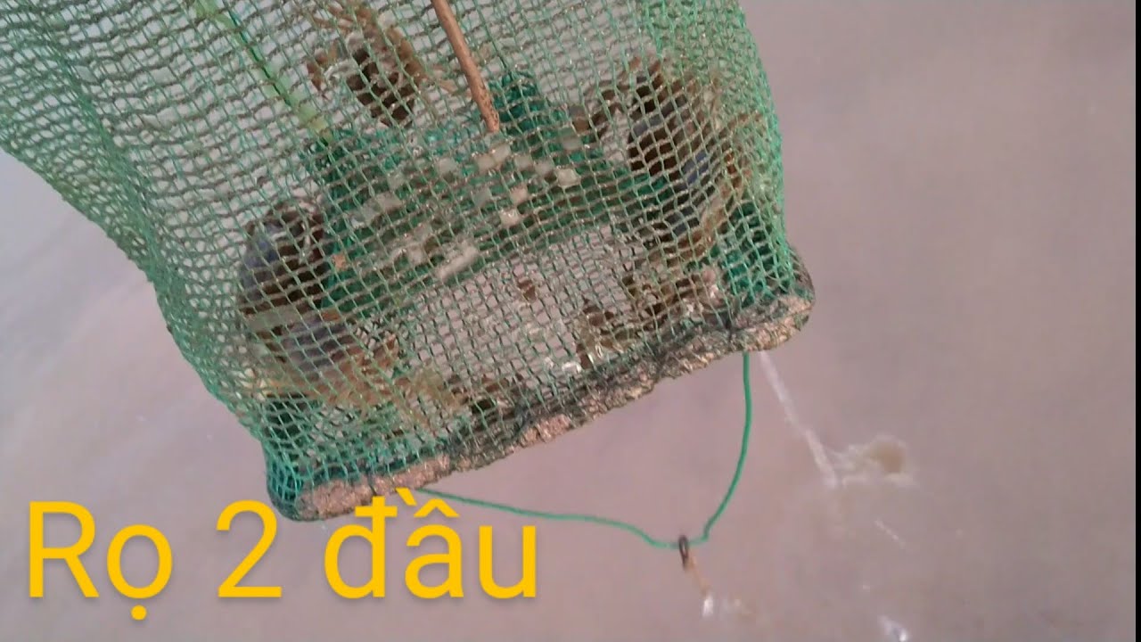 Cách bẫy cua đồng.Thực tế loại rọ 2 cửa cho mọi người xem