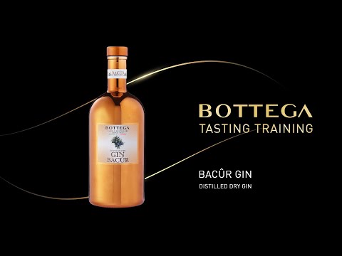 Training: Gin Bacûr Bottega (Italian w/English subtitles)