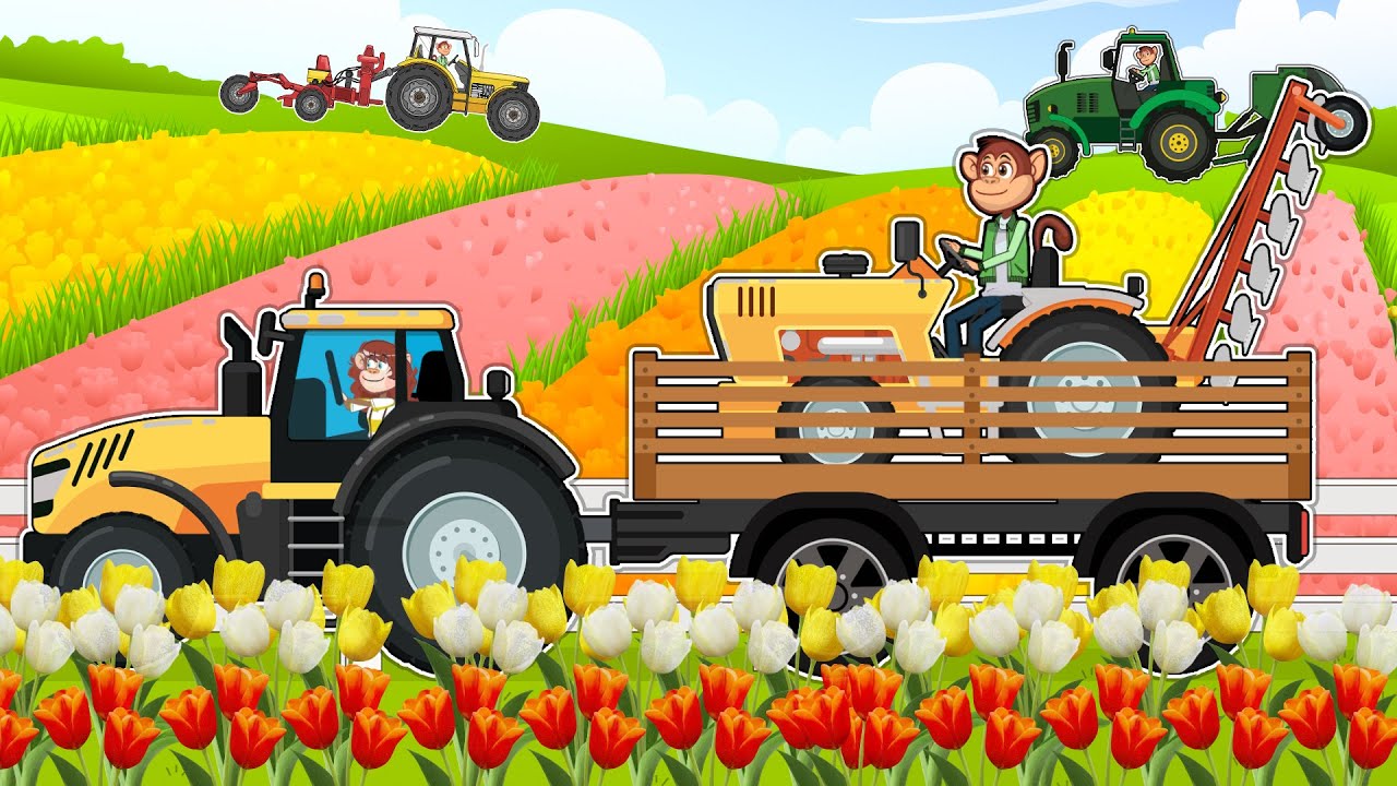 Monkeys Farm: How Are Tulips Produced And Harvested, Tractor, Farm truck | Funny Vehicles Farm