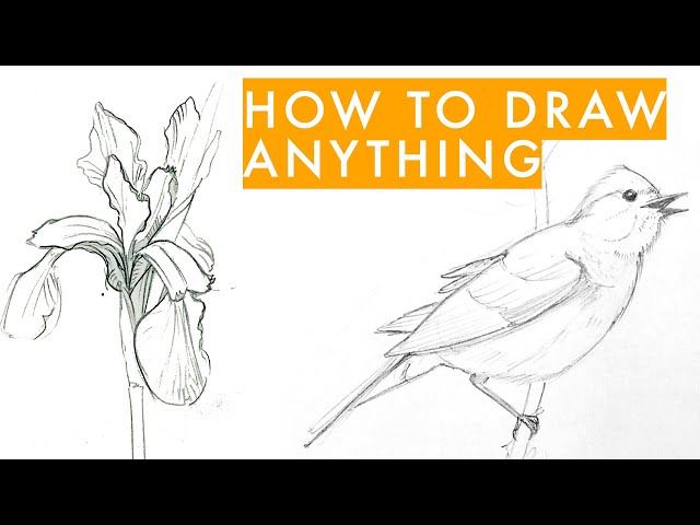 How to draw anything - learn sketching for beginners