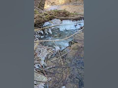 река Бистрица... - YouTube