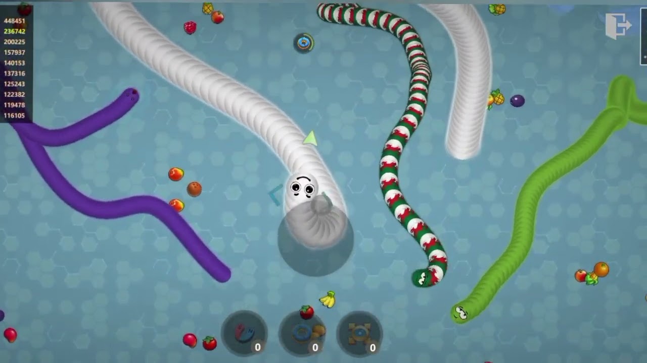 Big Snake killed by small snake 🐍#snakes