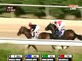 2008 Barbaro Stakes