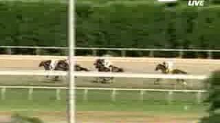 2008 Barbaro Stakes