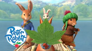Peter Rabbit - Camping by the Lake | Cartoons for Kids