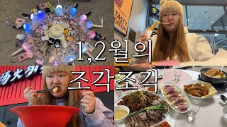 1,2월의 조각조각 브이로그-VLOG