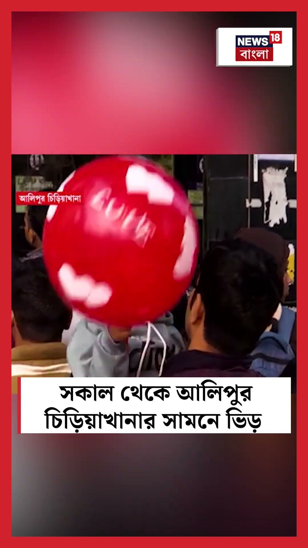 সকাল থেকে Alipore Zoo এর সামনে ভিড়  #shorts