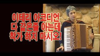 명품 아코디언 이테리 (브란도니)
