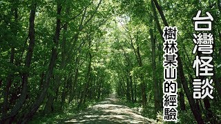 台灣怪談-樹林某山的經驗【米娜朗讀】