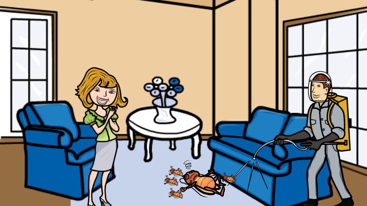 Pest Control Near Me Illinois - Pest Control Chicago il