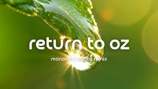 Melodic Techno - Monolink - Return to Oz (Artbat Remix)