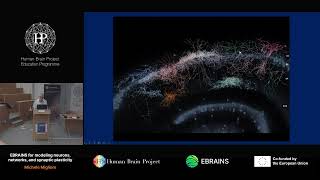 Michele Migliore - EBRAINS for modeling neurons, networks, and synaptic plasticity