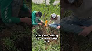 Tree planting tips #planting #fruittrees #tips #howto #dnr #diy #fyp #trending #shorts