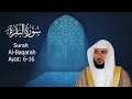 Surah Al Baqarah Maher Al Mu Aiqly Page 3 Ayat 6 16 Quranrecitation Qurantilawat Surah Al Baqarah Maher Al Mu Aiqly Page 3 Ayat 6 16 Quranrecitation Qurantilawat