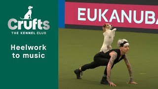 Heelwork To Music  Freestyle International Competition Part 1 | Crufts 2023