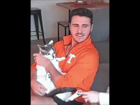 Il pensait caresser son chat... jusqu'à ce qu'il regarde par la fenêtre 😂 #shorts thumbnail