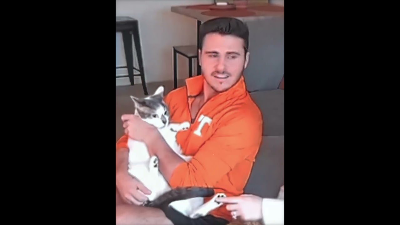 Il pensait caresser son chat... jusqu'à ce qu'il regarde par la fenêtre 😂 #shorts