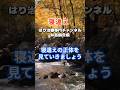 【寝違えの正体!】「最新の研究や臨床報告からわかってきた」#Shorts#ツボ #鍼治療 #岐阜市 #寝違え