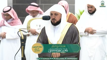 تلاوة فضيلة الشيخ د.⁧#ماهر_المعيقلي صلاة المغرب 8 صفر 1445هـ.