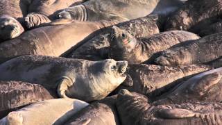 Best Of Sam Mcmillan Photography 2010