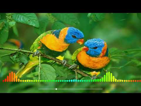 شاهد اجمل نغمة مستوحات من الاشعارات الرسائل