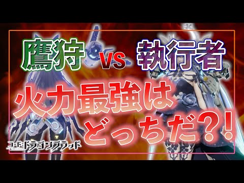 【ドラブラ】最強DPS職は〇〇!!ークリティカルの鷹狩、マルチストライクの執行者。勝つのはどっちだ!!【コード:ドラゴンブラッド】