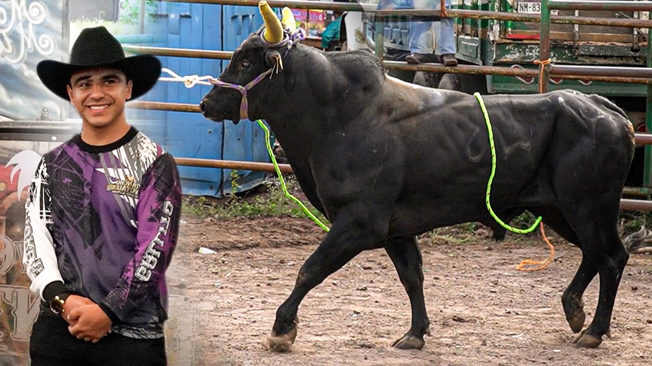 EL TORO INVICTO DE GALLITO DE MORELIA || Rancho Nuevo Talento en Etucuaro Michoacan