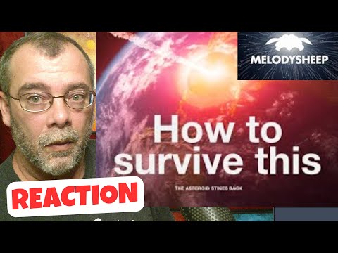 HOW TO SURVIVE THIS REACTION