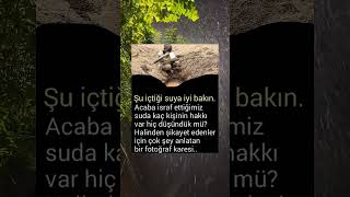 Bi̇r Yudum Su İçi̇n Neler Veri̇rdi̇? Şfetteyiz Şkreels Şkshorts