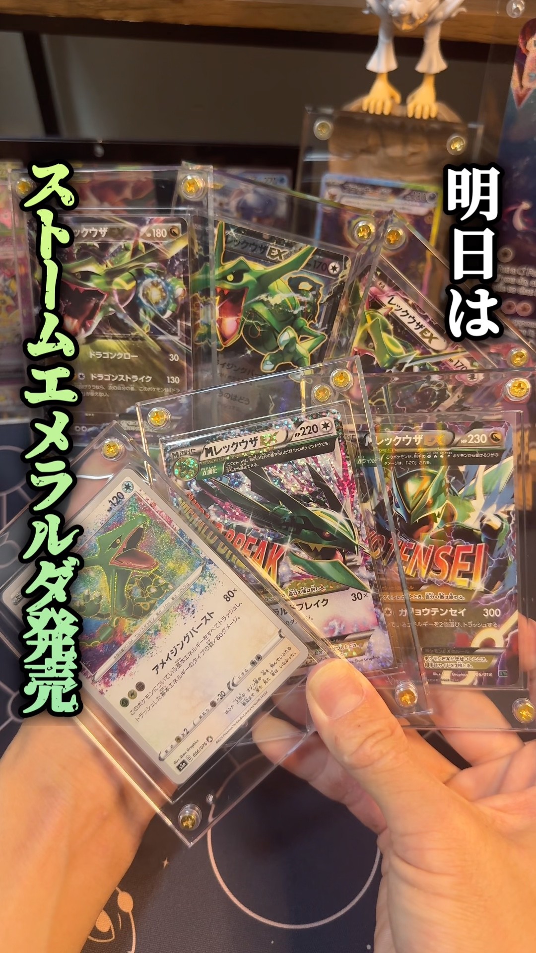 ポケカ】ストームエメラルダ開封前にレックウザ復習 #ポケカ #ストーム