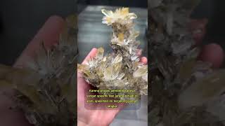 STONES WORTH HUNDREDS OF MILLIONS OF RUPIAH #shorts #cristal