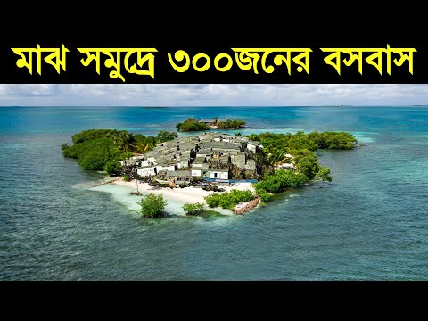 ভিডিও: সমুদ্রের দীপ্তি কোথায় যাচ্ছে?