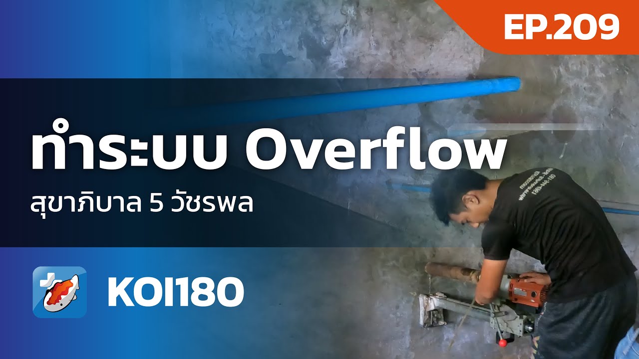 overflow ในบ่อปลา วัชรพล - กรุงเทพฯ - YouTube