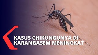Terdeteksi Muncul Sejak Bulan Mei, 88 Warga di Karangasem Terserang Chikungunya