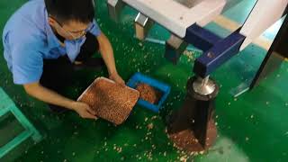 Peanut Color Sorter Machine Remove Discoloured Kernel (HD)