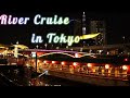 【浅草】屋形船に乗って東京の夜景を楽しみながら食べ飲み放題してきた