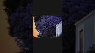 #song #songs #aesthetic #a e s th e t i c #sad #sadsongs #sadsong #sadstatus #aesthetic