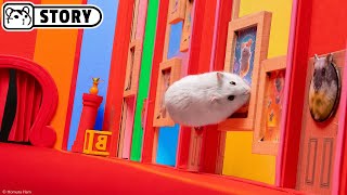 🐹 Хомяк в лабиринте Цифрового Цирка 🐹 Хомура Хам