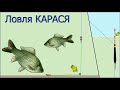 Рыбалка. Ловля КАРАСЯ на озере на Поплавок, ЛОВЛЯ НА РАБОТЕ ПОДПАСКА !!!. Насадка червь. Fishing