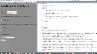 Web Fundamentals: HTML project 6: Forms
